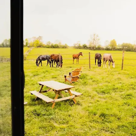 Jardins De La Thillaye - Parcel Tiny House - Tiny House 2 Pres Du Potager A 15 Min De Deauville Mae-3513